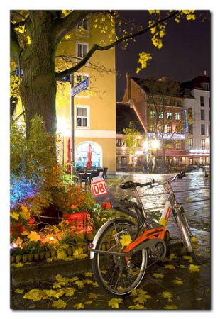 Promuovere l’uso della bicicletta: 9 – Call a bike, in tedesco.