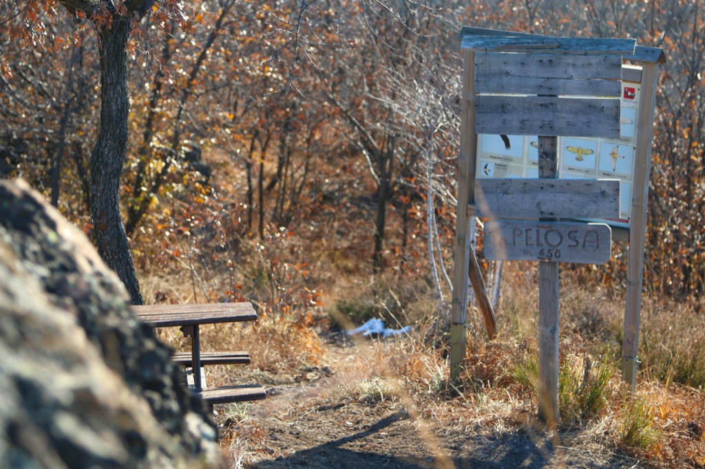 Hiking – Cacciatori Pelosa