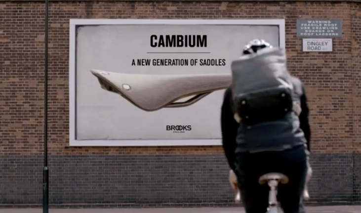 Sellini Brooks – Cambium