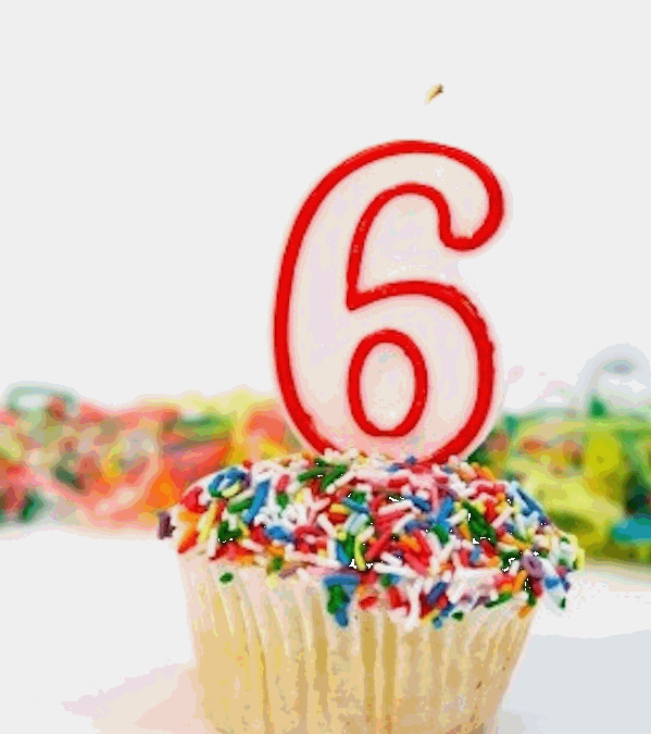 6 come 6: Buon Compleanno Cinghiali!